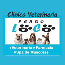 Veterinaria Perro Loco