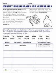 Vertebrates And Invertebrates Worksheet Education Com Science Printables Vertebrates And Invertebrates Science Worksheets