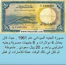 pin by hassan ibrahim on a 5 portion and proportion social security card history sudan