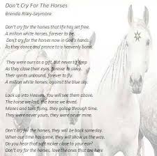 Img 163862261872 Jpeg Horse Riding Quotes Horse Poems Horses