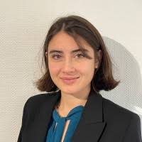 70+ "Ambrogio" profiles