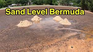 Bermuda grass provides excellent ha. Sand Leveling Bermudagrass Youtube