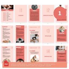 Survival Guide Father Pdf-canva Template-pre Pregnancy-baby  Preparation-shopping List-wellness-labour-hospital Bag-after  Birth-parenting