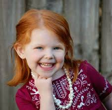 Amesbury Photography updated their...