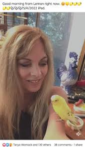 Coping with grief after pet loss and conflict with cat