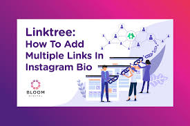 Now, instead of connecting multiple, limiting platforms i can grow my email list, promote my offers, and share my work in one. Linktree How To Add Multiple Links In Instagram Bio Bloom Digital