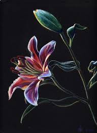 Pin On Flowers