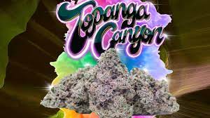 There is a rapid increase in the phrase buy topanga canyon. Topanga Canyon Strain Review Youtube