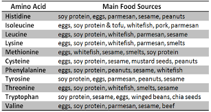 Amino Acid Food Chart Www Bedowntowndaytona Com