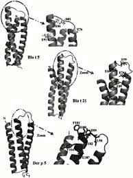 Shop online or in store. Bentham Science Publisher Of Excellence For All Biomedical Medical And Pharmaceutical Decision Makers