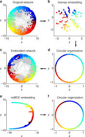 machine learning meets complex networks via coalescent