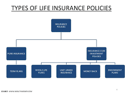 You can choose how the insurer. Types Of Life Insurance Policies In India