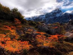 Maybe you would like to learn more about one of these? Fantasy Fall Forest Background 1280x960 Wallpaper Teahub Io