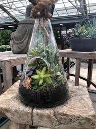 Avas flowers remains dedicated to servicing your floral needs as we navigate through unprecedented challenges resulting from the worldwide pandemic. Build A Terrarium The Farm At Green Village