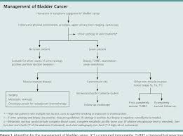 Men who develop these symptoms in the absence of a urinary tract infection should always be checked for bladder cancer. Pdf Diagnosis And Treatment Of Bladder Cancer Semantic Scholar