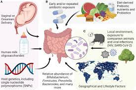 Gut Microbiota and Microbial Metabolism in Early Risk of Cardiometabolic  Disease | Circulation Research