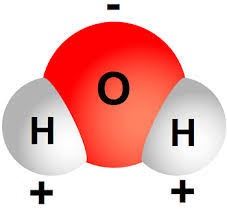 Check spelling or type a new query. To Which Part Of A Water Molecule Would Li Be Attracted Socratic