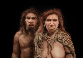 We did not find results for: Neanderthal Dna In Modern Human Genomes Is Not Silent The Scientist Magazine