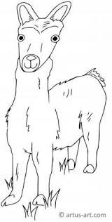 Animals Coloring Pages Printable Animals Coloring Sheets For Free