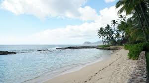 Check spelling or type a new query. Magnum Pi Beach Background For Your Online Meetings