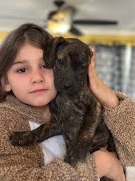 Lynn Pridgen (@lynnpridgen) • Instagram photos and videos