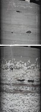 Toyen, born marie čermínová, was a czech painter, drafter, and illustrator and a member of the surrealist movement. Photos Of The Toyen Formation And Its Boundary To The Alum Shale In The Download Scientific Diagram