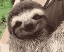 Touch device users, explore by touch or with. Baby Sloth Birthday Gifs Tenor