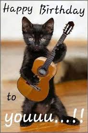 101 Funny Cat Birthday Memes For The Feline Lovers In Your Life In 2020 Cat Birthday Memes Cat Birthday Wishes Cat Birthday