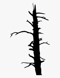 Cross discord diamond laptop happy birthday flower crown palm tree phone icon play button nike logo merry christmas Dead Tree Silhouette Png Transparent Png Kindpng