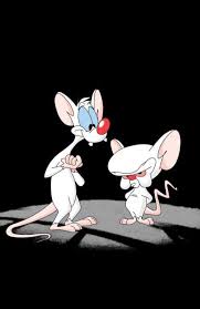 Pinky The Brain Iphone 5 Wallpaper Brain Images Animaniacs Cartoon