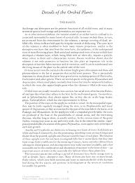 Image result for Schizochilus sulphureus