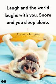 20 Sleep Quotes Cute Good Night Quotes