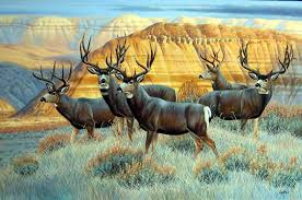 Pin By Vern Howell On Animals In Art Wildlife Artists Deer Pictures Wildlife
