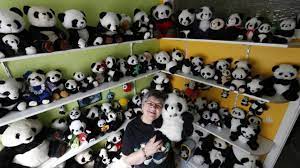 Produk asli harga terbaik 👍 hanya di ruparupa. Foto Pasangan Ini Koleksi 2 200 Pernak Pernik Panda Halaman 3