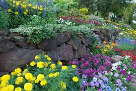 We did not find results for: 25 Beautiful Flower Bed Ideas Trees Com