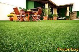 Untuk menjaga agar taman atau halaman tetap cantik terawat, anda harus memotong rumput secara berkala. Cara Menjaga Rumput Di Musim Panas