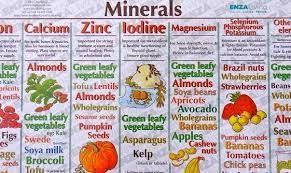 Vitamins And Minerals Sources Functions Colorful Chart
