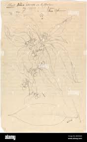 Image result for Discopodium penninervium