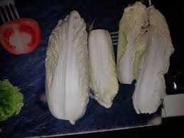 Il cavolo cinese in italia è conosciuto anche come il cavolo di pechino o il pak choi. Cavolo Cinese Brassica Pekinensis Lacuocaignorante