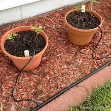 How To Install A Diy Drip Irrigation System For Potted Plants Irrigation Diy Garden Watering System Garden Irrigation