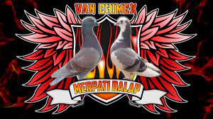 Kumpulan daftar dan foto merpati balap kolong. Logo Merpati Pigeon Design Bird Pigeon Logo Art Logo Bird Logos