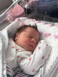 Please share if you'd like to... When we moved to Sanibel 4 years ago, Dave  found a baby turtle belly up in a pool. After holding it close to his body  for