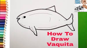 Check spelling or type a new query. Learn How To Draw A Vaquita Marine Mammals Step By Step Youtube