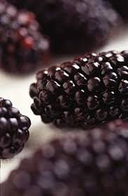 For instance, boysenberry is particularly high in fiber and folate. Bramble Wikipedia