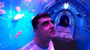 Exploring the underwater world in the main tank tunnel 🫧🐠 🕙 Open  everyday from 10:00 till 20:00 🐠 Discover over 50 tanks and 250 species 📲  Save money when purchasing tickets online 📷 @radush.k