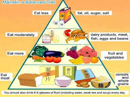 Balanced Diet Chart 10 638 X 479 Making The Web Com