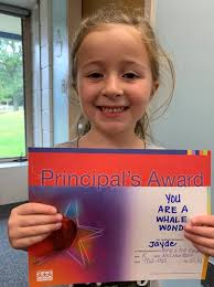 The Windermere Whaler