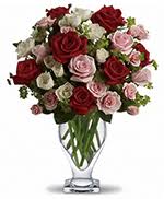 Our flower shop serves the following areas. Florist Flower Shops In Albany Georgia Ga Same Day Delivery By A Local Florist In Albany