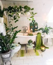 Averigua que plantas de interior pueden sobrevivir con el alto grado de humedad y calor que se forma en el baño y no dudes en usarlas. 10 Plantas De Bano Para Crear Un Paraiso Botanico En Tu Regadera