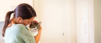 Licensed & bonded pet sitting services serving: Cat Sitters Petsitter Com